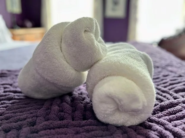 2 rolled towels on the end of a bed